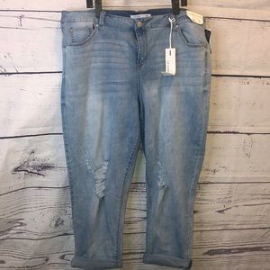 Celebrity Pink Trendy Plus Ripped Girlfriend